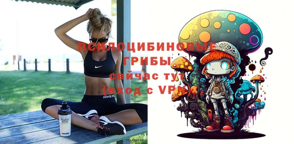 гидра Алексин