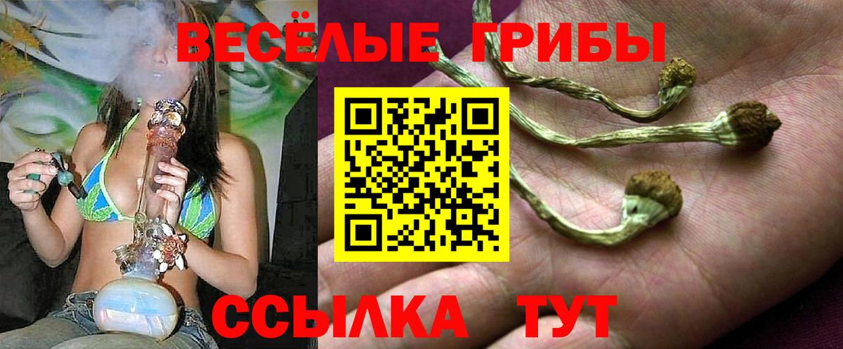 Черемхово  Галлюциногенные грибы GOLDEN TEACHER  Вход с VPN 